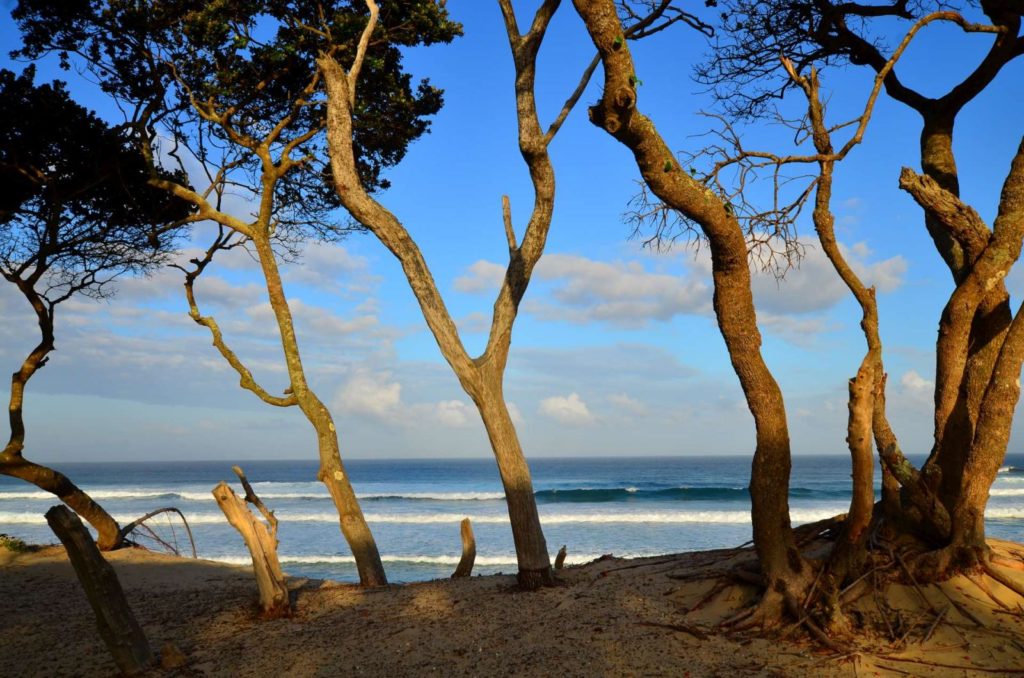 Sugarloaf Backpackers Wild coast accommodation the Transkei fishing south Africa eastern cape the best activities holiday beaches (4)